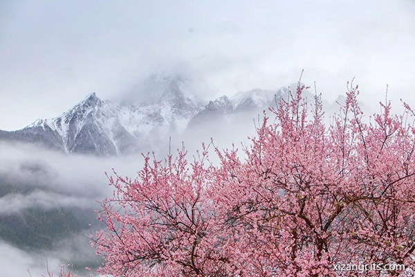 林芝旅游景點